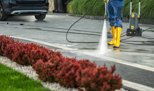 Best Fence Pressure Washing  in Napervle, IL